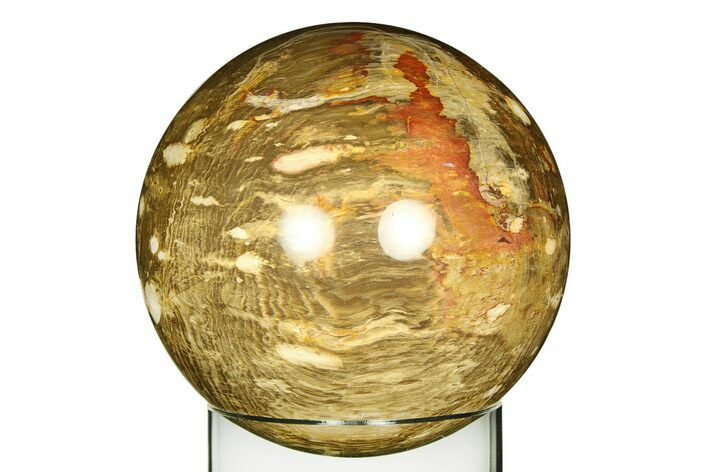 Colorful Chinchilla Petrified Wood (Conifer) Sphere - Australia #309221